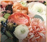 Car Perfume -Jasmine